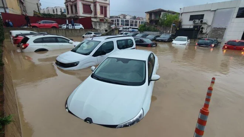 видео кадры