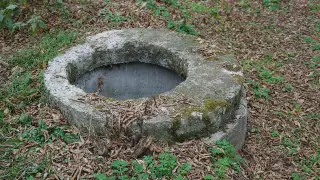 Қазақстанның батысында 9 жастағы қыз бен ер адам құдықтан шыға алмай қаза болды