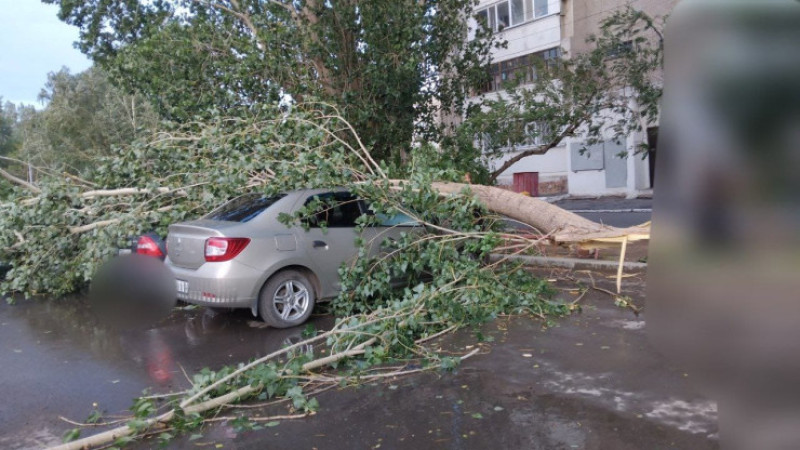 Фото: Әлеуметтік желілерден