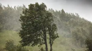 Аптап, дауыл, бұршақ. 22 маусымда ауа райы қандай болады?