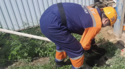 Оралда әжетханаға түсіп кеткен ит құтқарылды