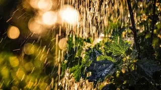 +42 градус аптап және жаңбыр: 2 шілдедегі ауа райы болжамы