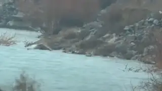 Түркістан облысындағы Сайрамсу өзенінен әйелдің денесі табылды