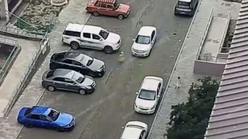 Видео кадры