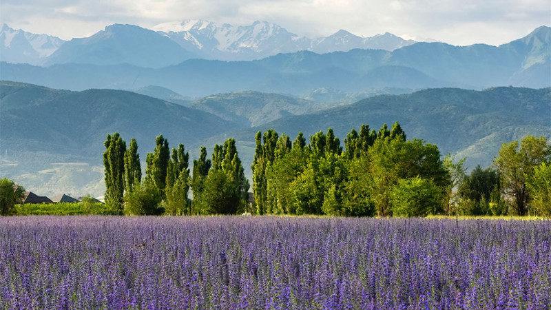Фото: instagram.com/dots_foto