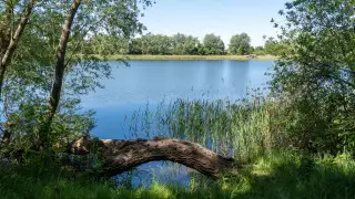 Жаңбыр ма, аптап па? Астана мен Алматыда ауа райы қандай болады?