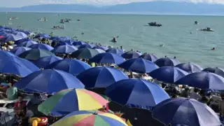 Тоқаевтың сынынан кейін Үкімет мүшелері Алакөл көліне барды