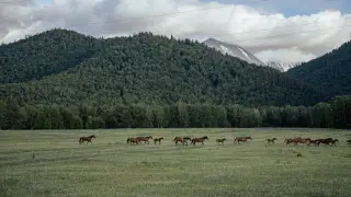 Қазақстанда алдағы күндері ауа райы қандай болады?