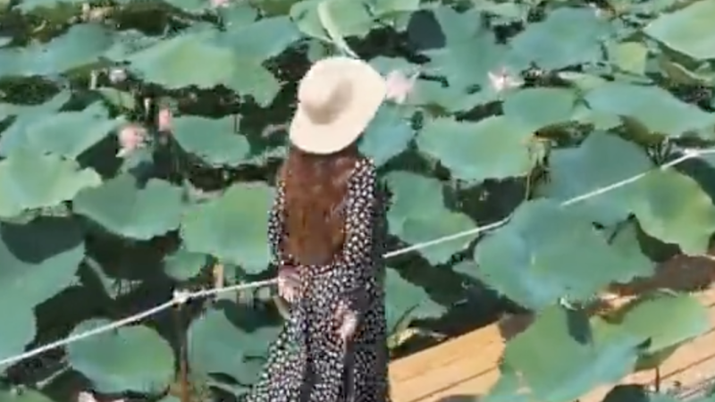 видео кадры