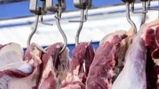 Шымкентте сиыр етінің бағасы шарықтап кетті: Сауда министрлігі не дейді?