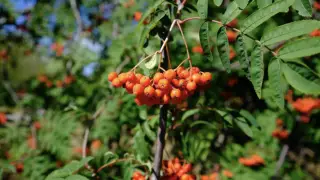 Оңтүстікте аптап, солтүстікте нөсер: 27 шілдеде ауа райы қандай болады?