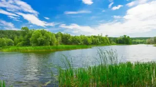 Қосшыдағы қайғылы жағдай: бес жасар бала Есілге батып кетті