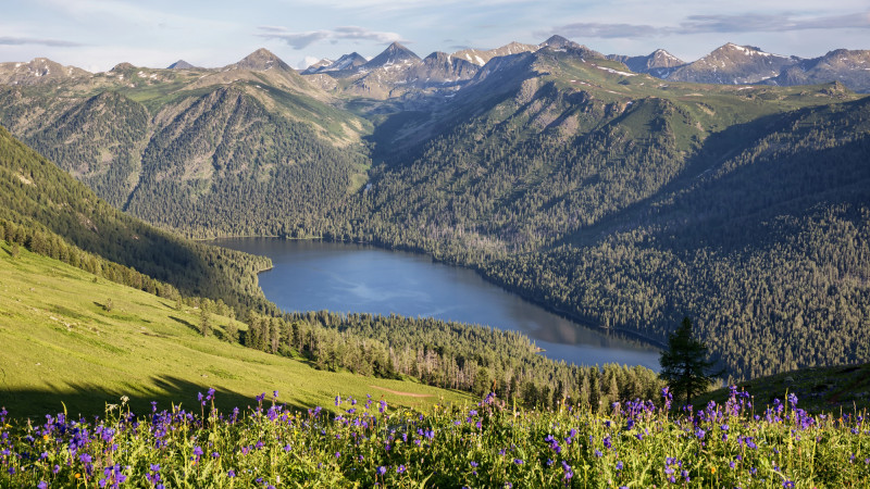 Фото:depositphotos.com