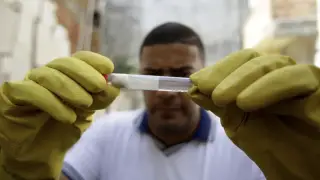 Дәрігер Қытайда таралып жатқан чикунгунья вирусының қауіпті бір белгісін атады