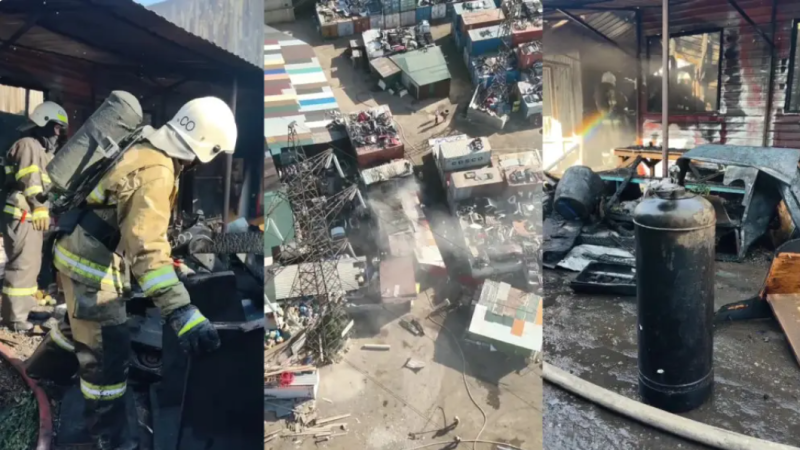 Кадрлер видеодан