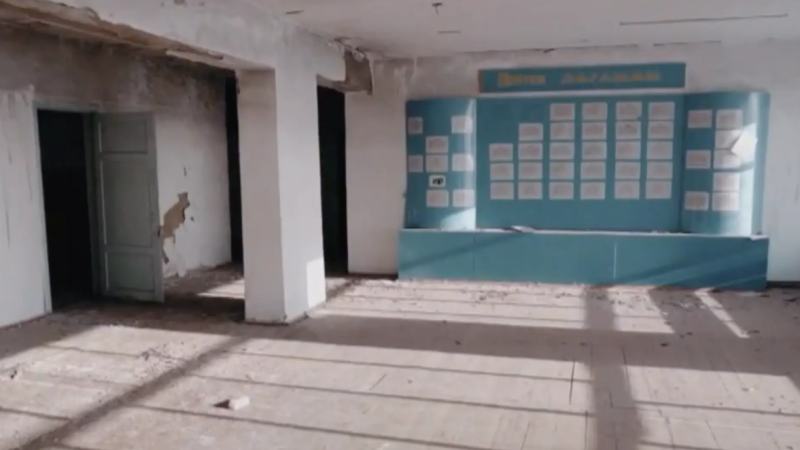 Кадр видеодан