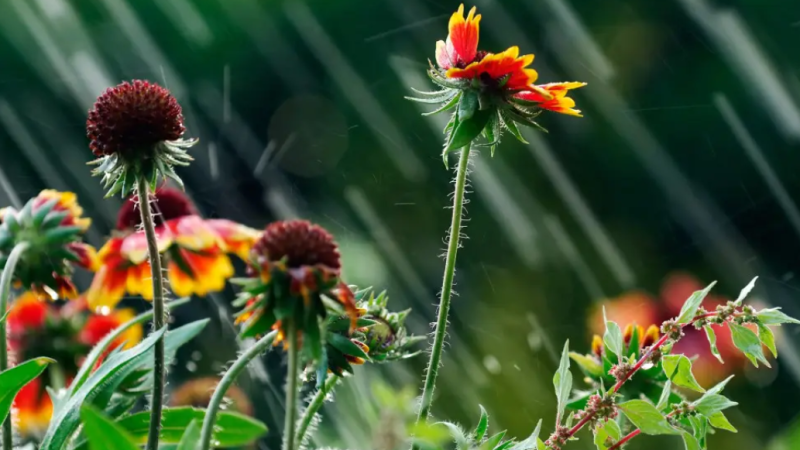 Фото:depositphotos.com