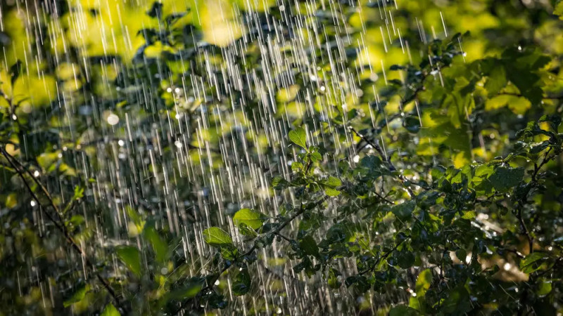 Фото:depositphotos.com