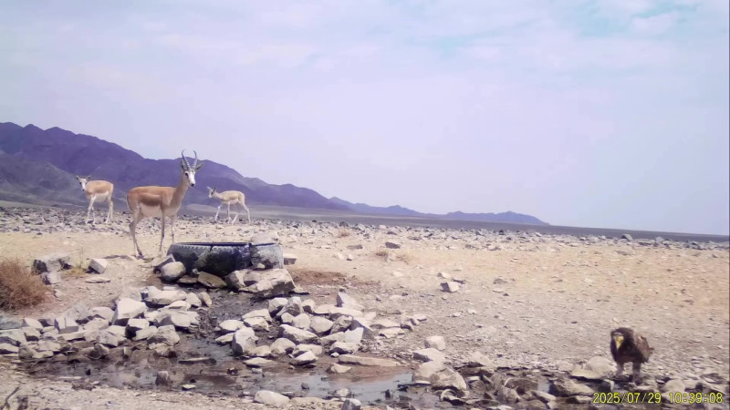 видео кадры