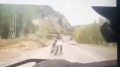 Риддерде полицей мотоцикл жүргізушісін қағып кетті: видео
