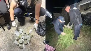 Қостанай облысында саяжай бақшасына қарасора өсірген тұрғын әшкереленді