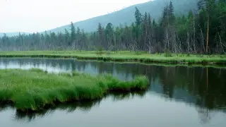 Қазақстанда алдағы күндері ауа райы тұрақсыз болады