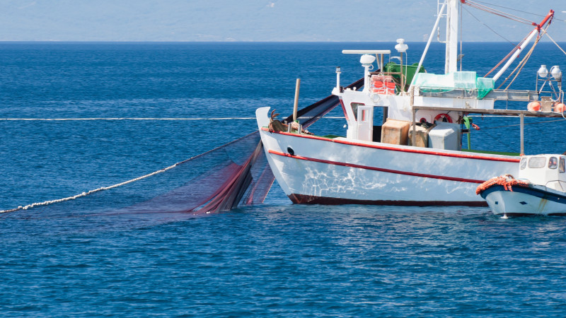 Фото:depositphotos.com