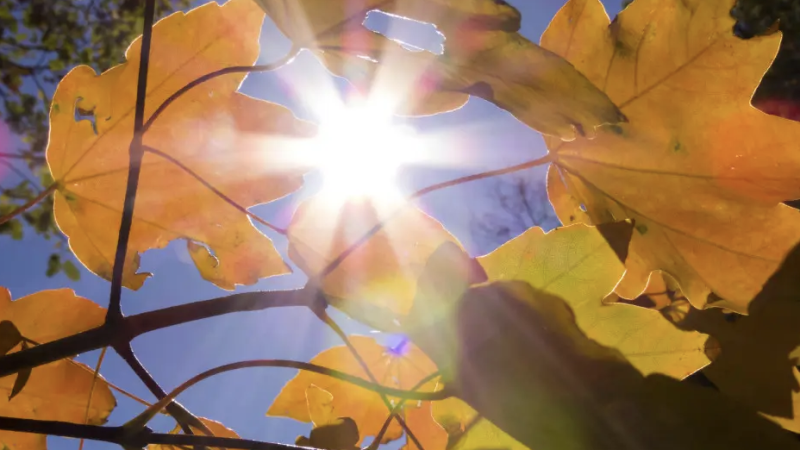 Фото:depositphotos.com