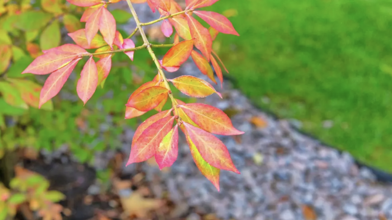 Фото:depositphotos.com