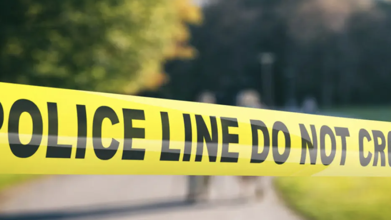 Фото:depositphotos.com