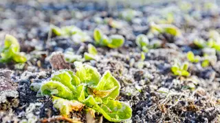 Жаңбыр, найзағай және бұршақ. Алдағы күндері ауа райы қандай болады?