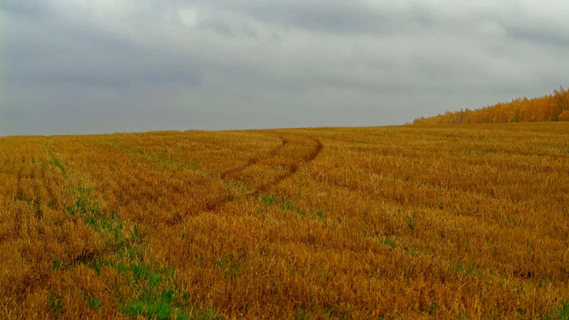 Фото:depositphotos.com