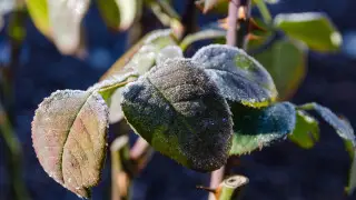 Қазақстанда 0 градусқа дейін күн суытады