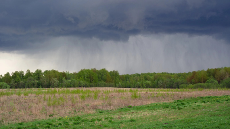 Фото:depositphotos.com