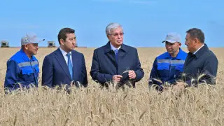 Тоқаев Ақмола облысындағы егін жинау науқанымен танысты