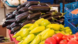 Тоқаев халықты ауыл шаруашылығы өнімдерімен қамтамасыз ету жайында айтты