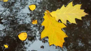 Қазақстанда күн суытып, жаңбыр жауады