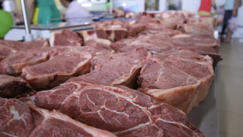 Фото ©️ Tengrinews.kz / Тұрар Қазанғапов