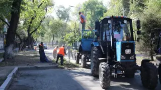 Қала күні: Алматы көшелерінің тазалығы қалай қамтамасыз етіледі?