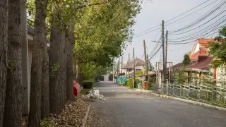 Алматыдағы Денис Теннің есімі берілетін көше қандай?