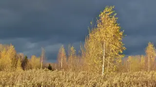 Синоптиктер 27 қыркүйекке арналған ауа райы болжамын ұсынды