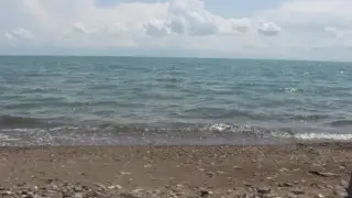 Экс-шенеуніктер, Forbes тізіміндегілер және танымал әулет. Прокурорлар мәлімдеме жасады