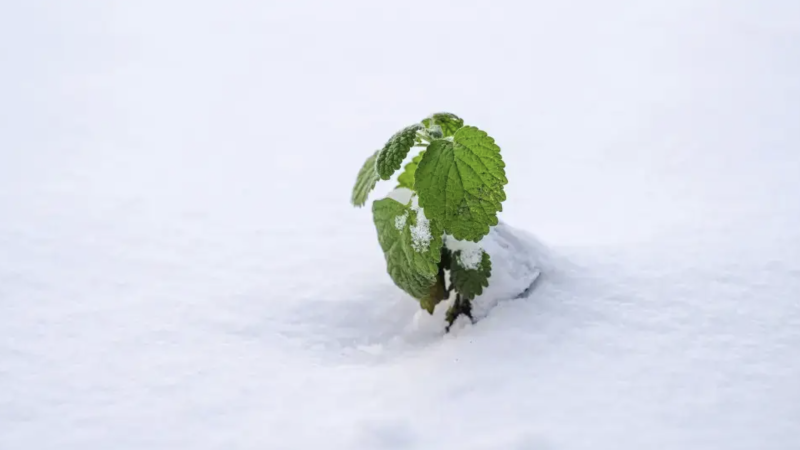 Фото:depositphotos.com