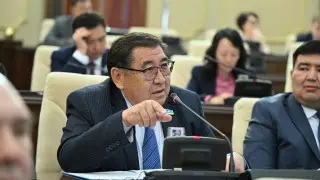 Депутат Бапи Болат Назарбаевтың ұлына қатысты істі қайта қарауды талап етті