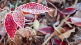 Қазақстанда -13 градусқа дейін аяз түседі