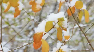 Күрт суиды: синоптиктер 4 қазанға арналған ауа райы болжамын ұсынды