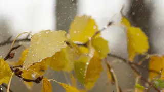 Қазақстанда алдағы күндері ауа райы қандай болады?