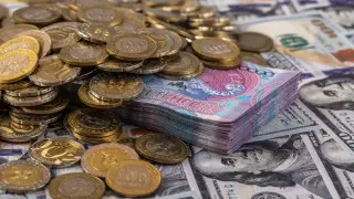 Қазақстандықтар мемлекеттен 1,5 миллион теңге ала алады: егжей-тегжейі