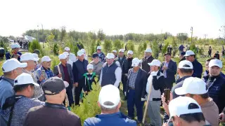 Түркістанда “Таза Қазақстан“ аясындағы сенбілікке облыс әкімі мен тұрғындар белсене қатысты