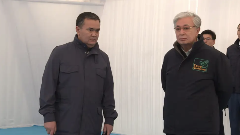 Видео кадры